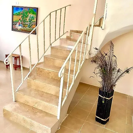 Gera Flora